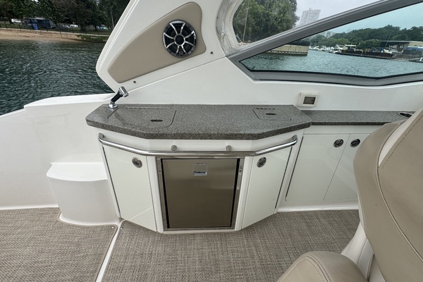 The Remedy 33ft Chaparral Yacht For Sale