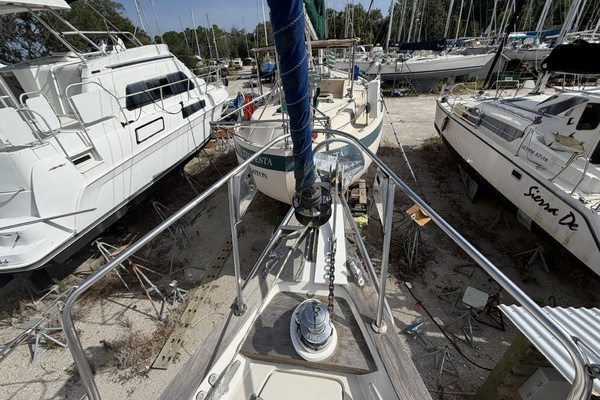 PANACEA 42ft Pearson Yacht For Sale