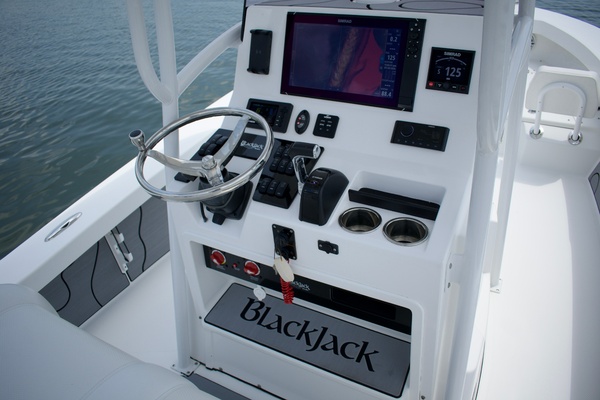 24ft BlackJack Yacht For Sale