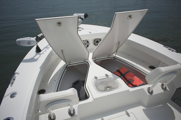 24ft BlackJack Yacht For Sale
