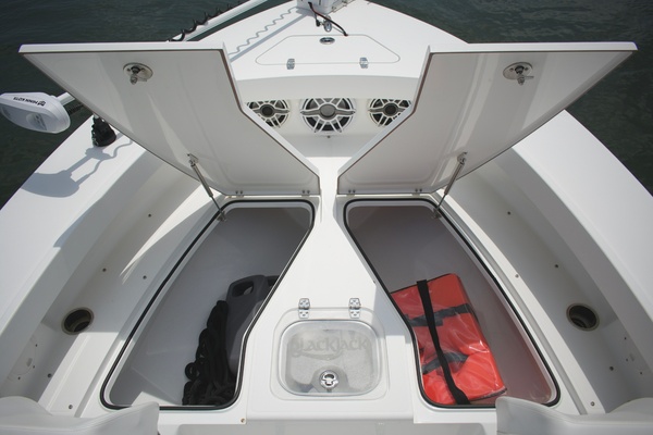 24ft BlackJack Yacht For Sale