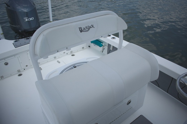 24ft BlackJack Yacht For Sale