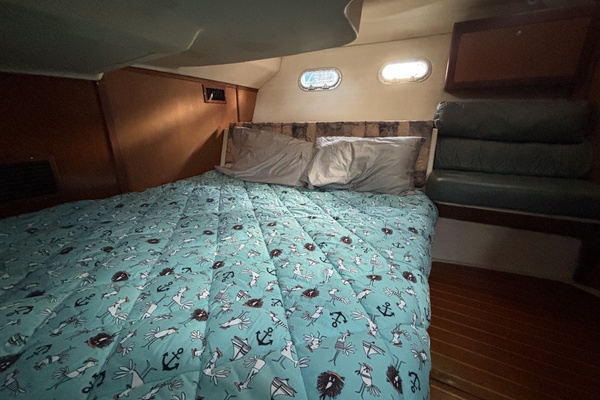 Abby Normal 41ft Hunter Yacht For Sale