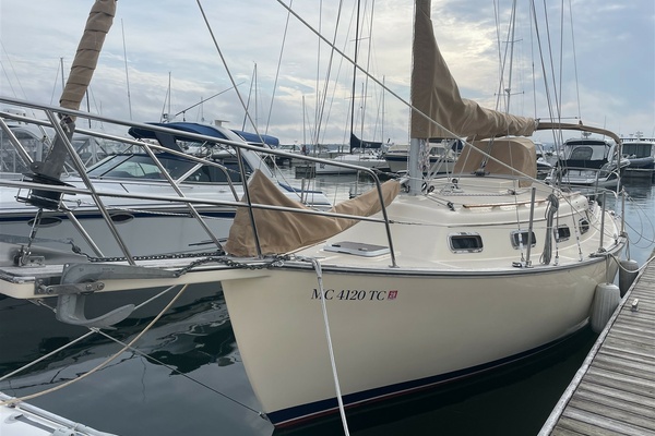Bermuda Shorts 27ft Island Packet Yacht For Sale