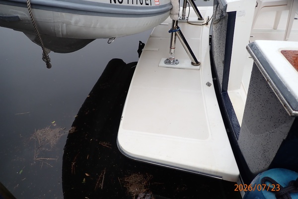 42' Sabre swimplatform