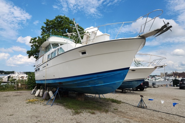 42ft Bertram Yacht For Sale