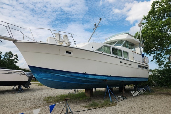 42-ft-Bertram-1980-- Quincy Massachusetts United States  yacht for sale