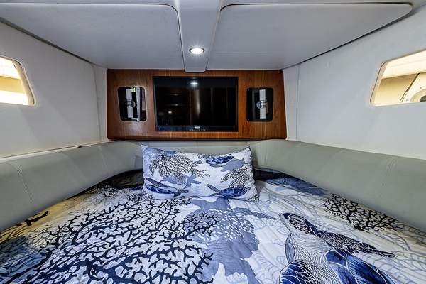Jupiter 41 BIG HIT - Interior Berth