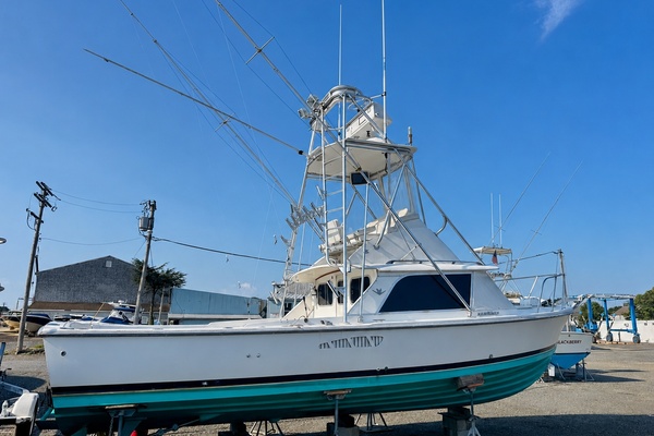Lets Go 31ft Bertram Yacht For Sale