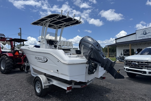 Photo of the 2024 Robalo R180