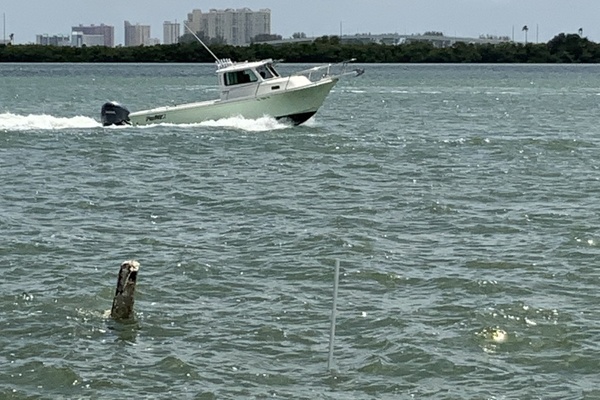 30ft Parker Yacht For Sale
