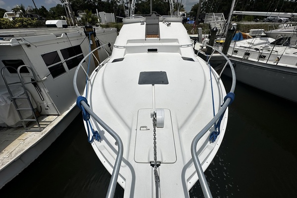 Reel Chaos 40ft Mainship Yacht For Sale