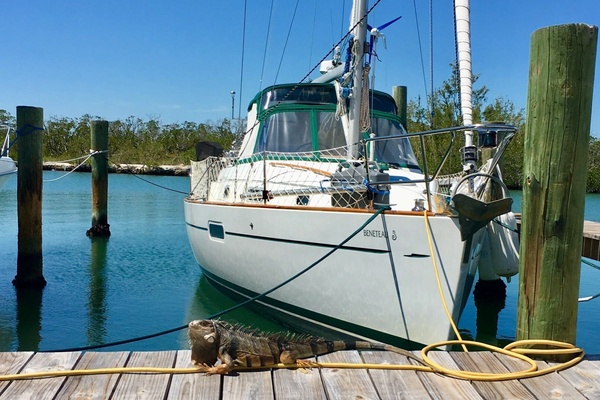 Second Wind 36ft Beneteau Yacht For Sale