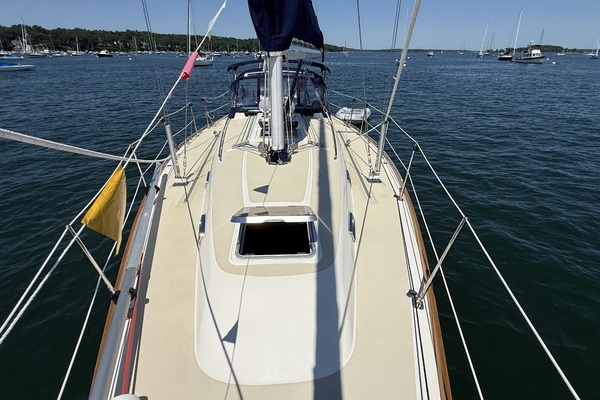 First Sight 38ft Sabre Yacht For Sale