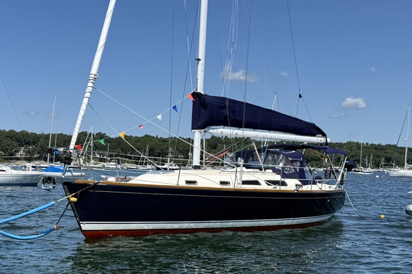First Sight 38ft Sabre Yacht For Sale