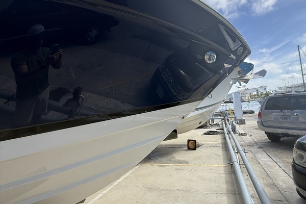 All Paws Aboard 34ft Regal Yacht For Sale