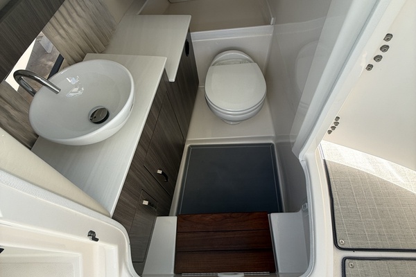 All Paws Aboard 34ft Regal Yacht For Sale