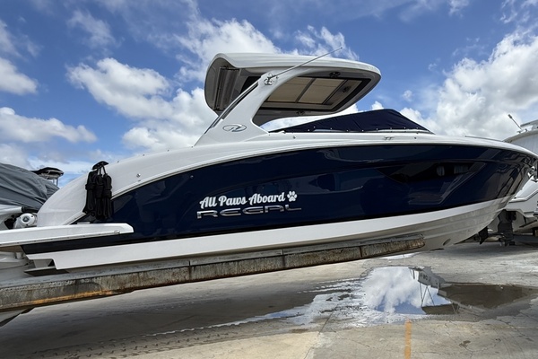 All Paws Aboard 34ft Regal Yacht For Sale