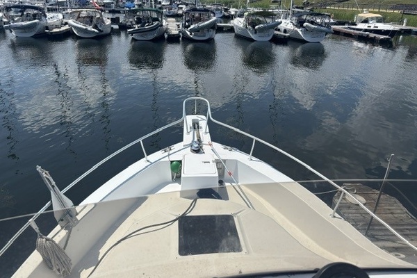 PEREGRINE 39ft Mainship Yacht For Sale