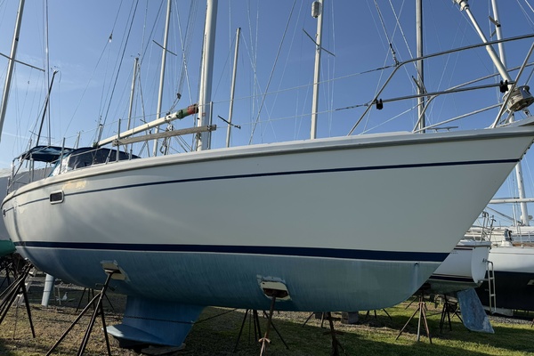 Magnolia 36ft Catalina Yacht For Sale
