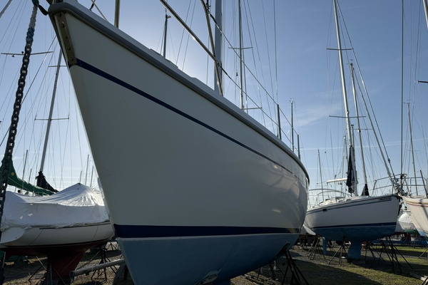 Magnolia 36ft Catalina Yacht For Sale
