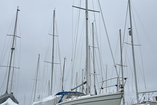1995 Catalina 36 Mk II