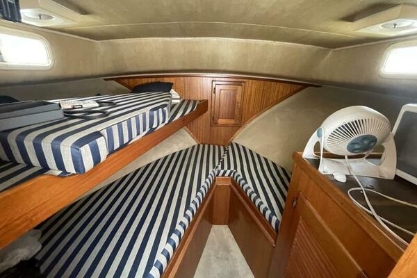 TBI SURVIVOR 34ft Californian Yacht For Sale