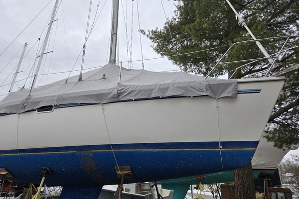 Kittiwake 32ft Catalina Yacht For Sale