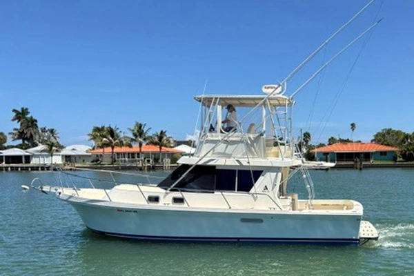 Photo of the 2001 Albin 35 Tournament Express