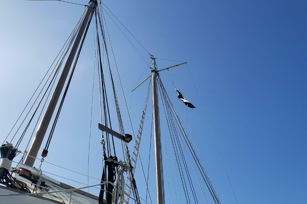 Daniel Webster Clements 54ft Custom Yacht For Sale