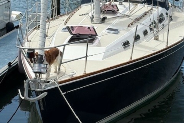 STAR 40ft Sabre Yacht For Sale