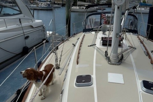STAR 40ft Sabre Yacht For Sale