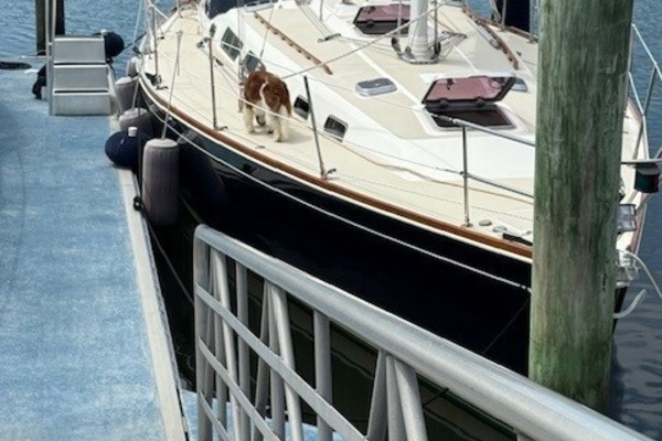 STAR 40ft Sabre Yacht For Sale