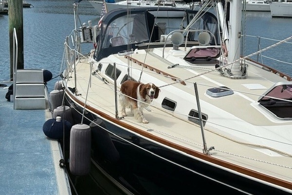 STAR 40ft Sabre Yacht For Sale