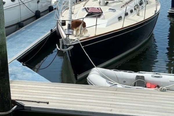 STAR 40ft Sabre Yacht For Sale