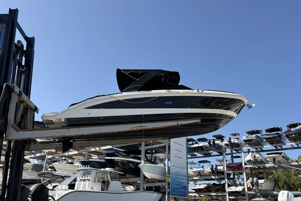 Photo of the 2021 Sea Ray 290 SDX
