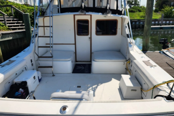 Photo of the 1986 Bertram 