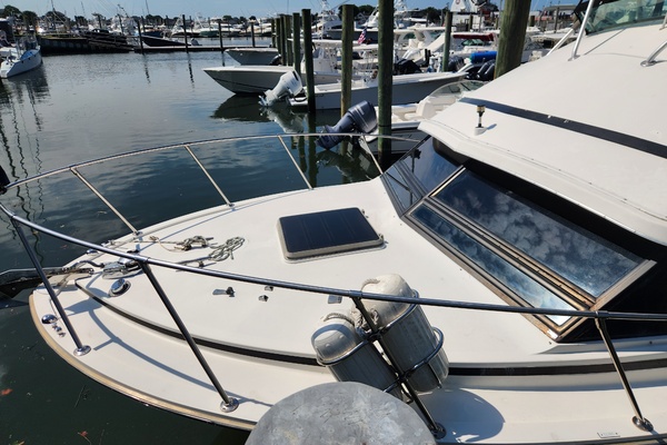 33ft Bertram Yacht For Sale