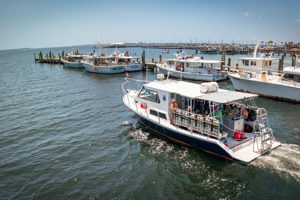 BIG BLUE 36ft Newton Yacht For Sale