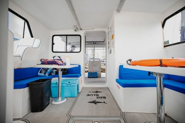 BIG BLUE 36ft Newton Yacht For Sale