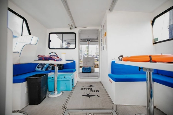 Newton 36' Dive Special Yacht For Sale