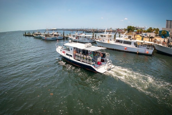 BIG BLUE 36ft Newton Yacht For Sale