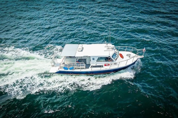 BIG BLUE 36ft Newton Yacht For Sale