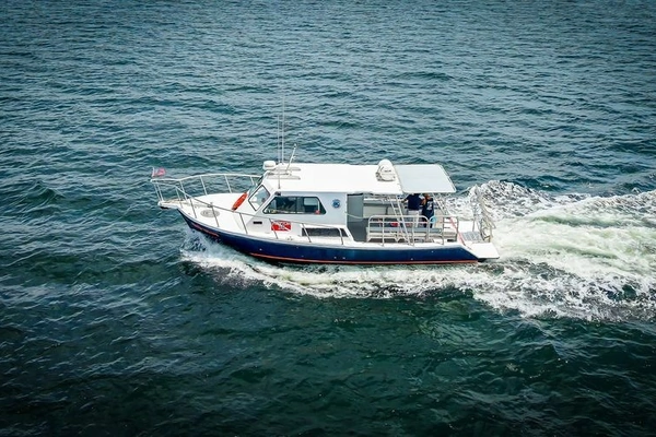 Newton 36' Dive Special Yacht For Sale