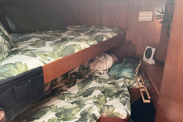 Bonifatius 40ft Oceania Yacht For Sale