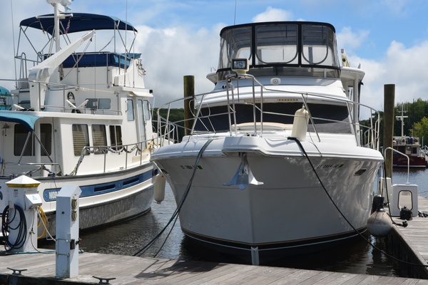 Andiamo 44ft Carver Yacht For Sale