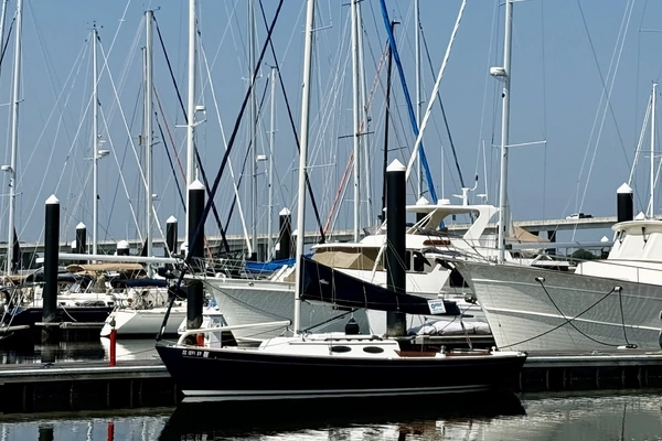 28-ft-Alerion-2003-Express 28-Sea Horse Charleston South Carolina United States  yacht for sale