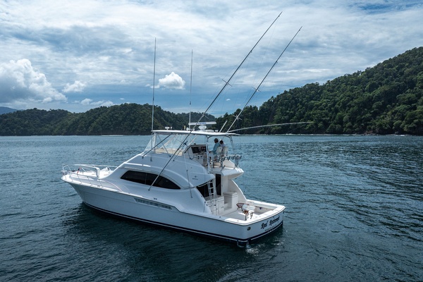 Reel Retirement 57ft Bertram Yacht For Sale
