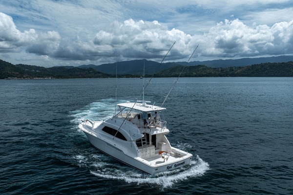 Reel Retirement 57ft Bertram Yacht For Sale
