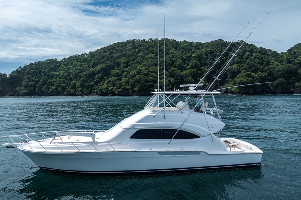 Reel Retirement 57ft Bertram Yacht For Sale